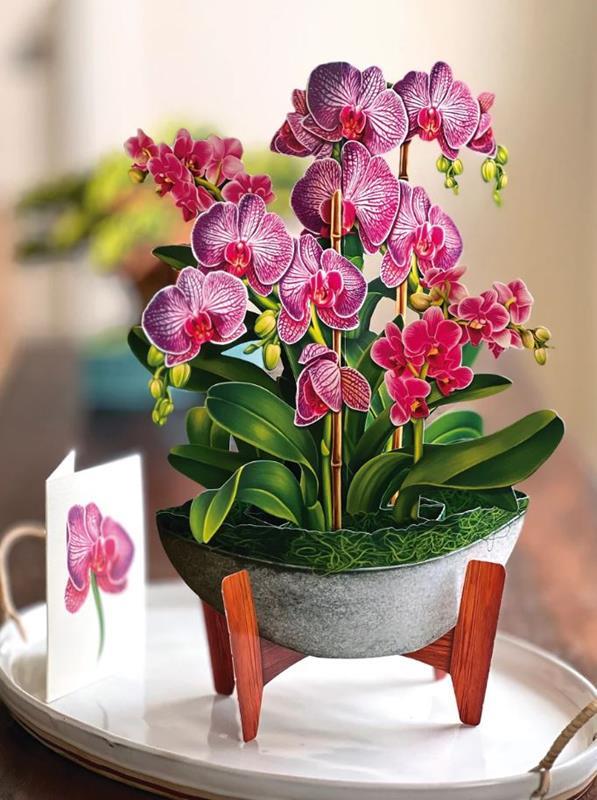 Orchid Oasis Pop-up Greeting Card,3723